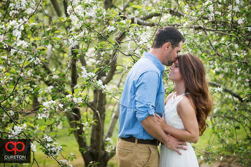 A groom to be kissing his fiancee during their recent engagement session at an apple orchard in Hendersonville,NC.