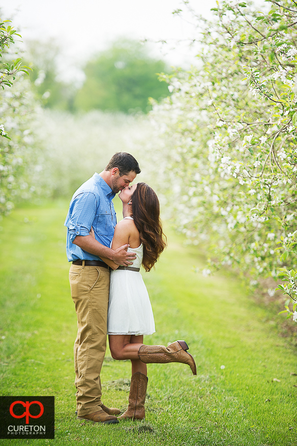 Couple standing in the middle of an apple orchard during their recent engagement session at an apple orchard in Hendersonville,NC.