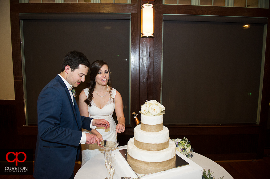 Bride and groom cut the cake.