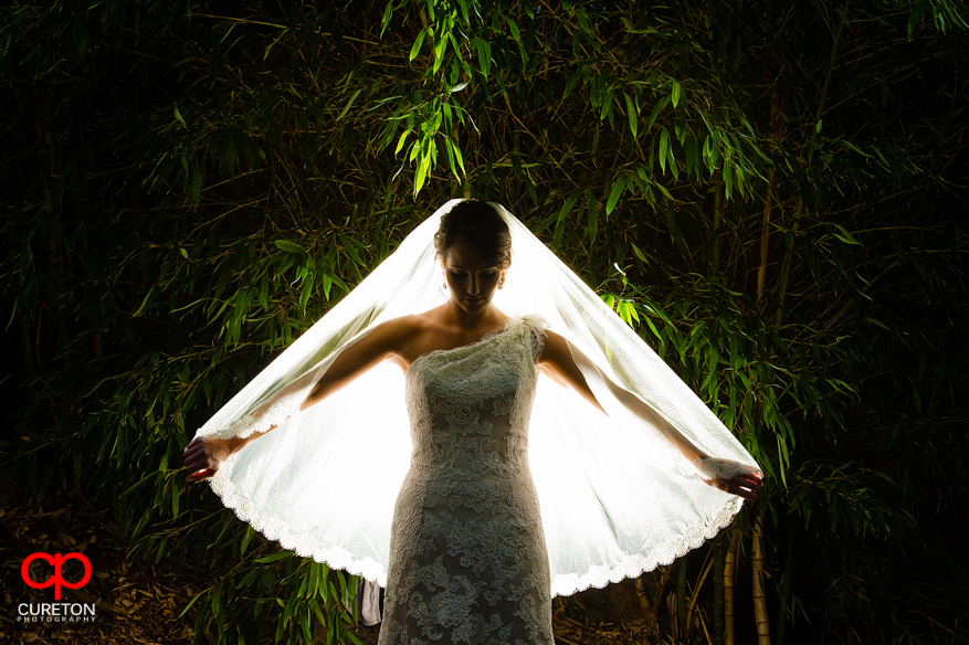 Backlit shot of a bride in the bamboo at The rock quarry garden.