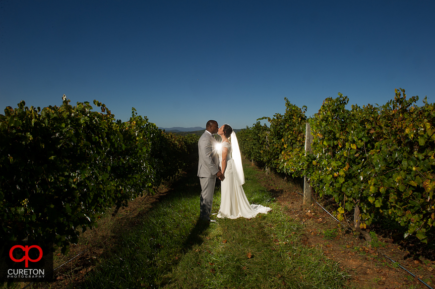 Creative, epic portraits of bride and groom in the vineyard after their Chattooga Belle Farm wedding.