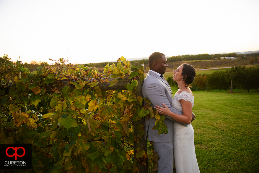 Creative, epic portraits of bride and groom in the vineyard after their Chattooga Belle Farm wedding.