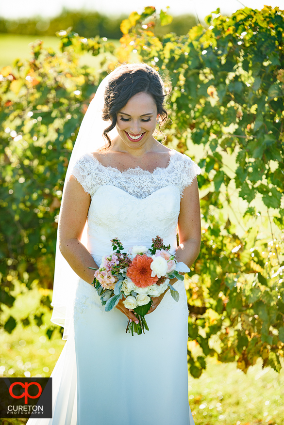 Beautiful bride in the vineyard at Chattooga Belle Farm.