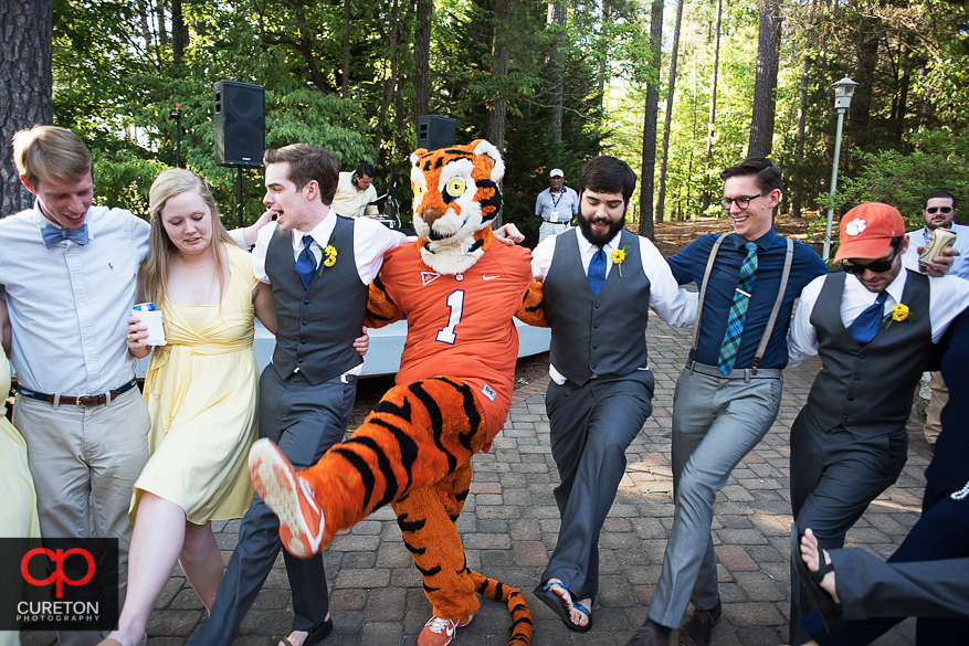 Wedding guest dance with the Clemson Tiger.