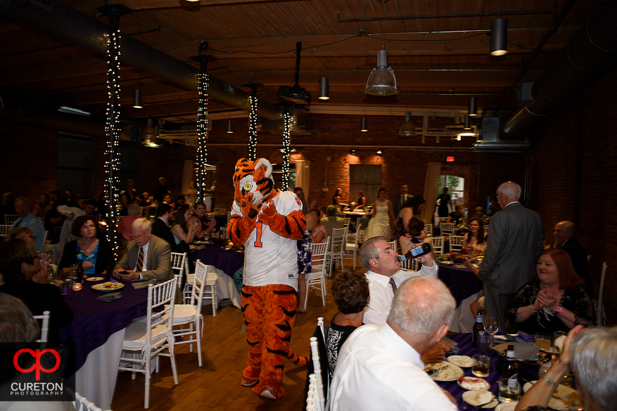 Wedding guest dance with the Clemson tiger.