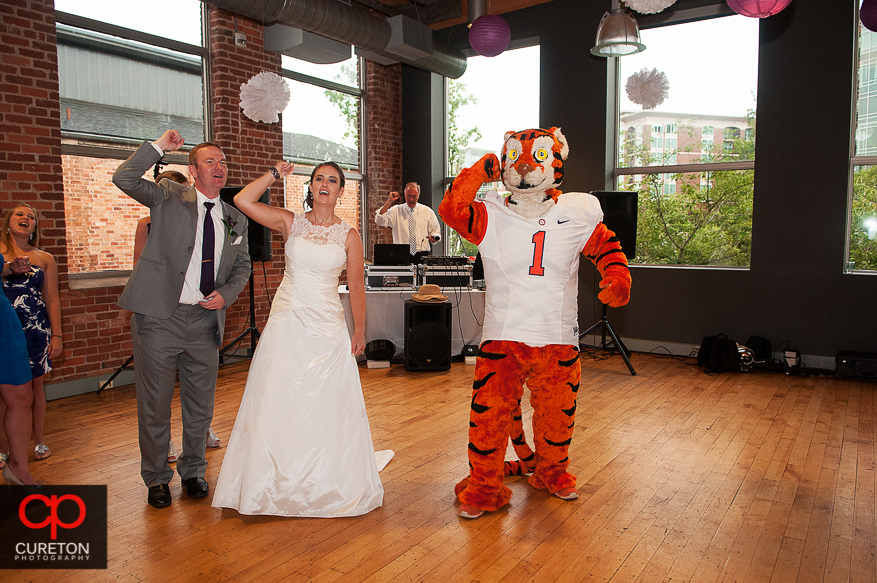 Wedding guest dance with the Clemson tiger.