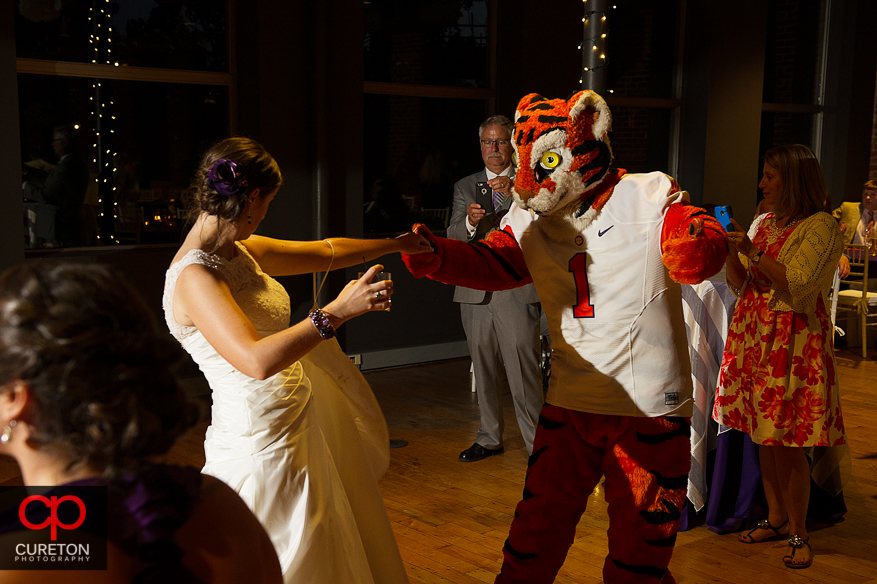 Wedding guest dance with the Clemson tiger.