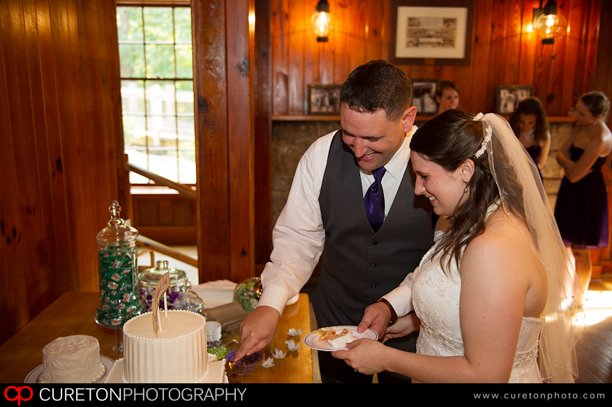 Bride and Groom cutting the cake.