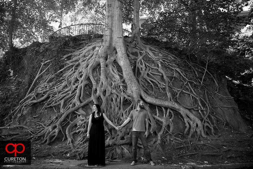 Black and white of an engaged couple in front of the tree during a pre wedding engagement session at Falls Park on the Reedy in Greenville,SC.