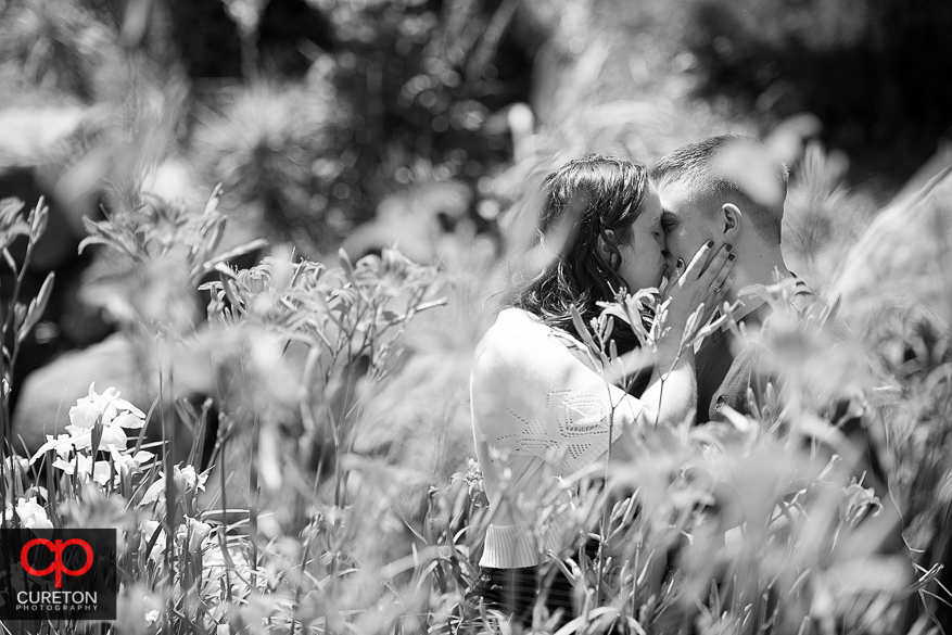 Black-and-white photo of a couple kissing in the middle of flowers in a park in downtown Greenville, SC.