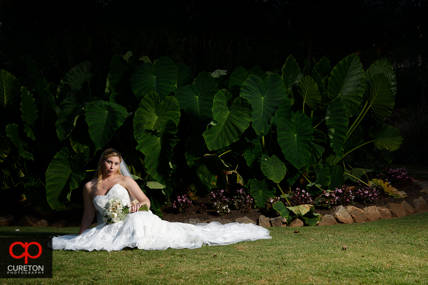 Dramtic photo in front of elephant ears at a recent Rock Quarry Garden bridal in Greenville,SC.