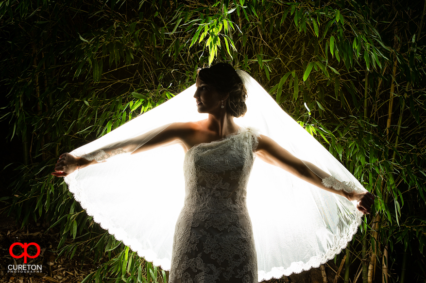 A bride backlit at the popular Greenville,SC wedding location, The Rock Quarry Garden.