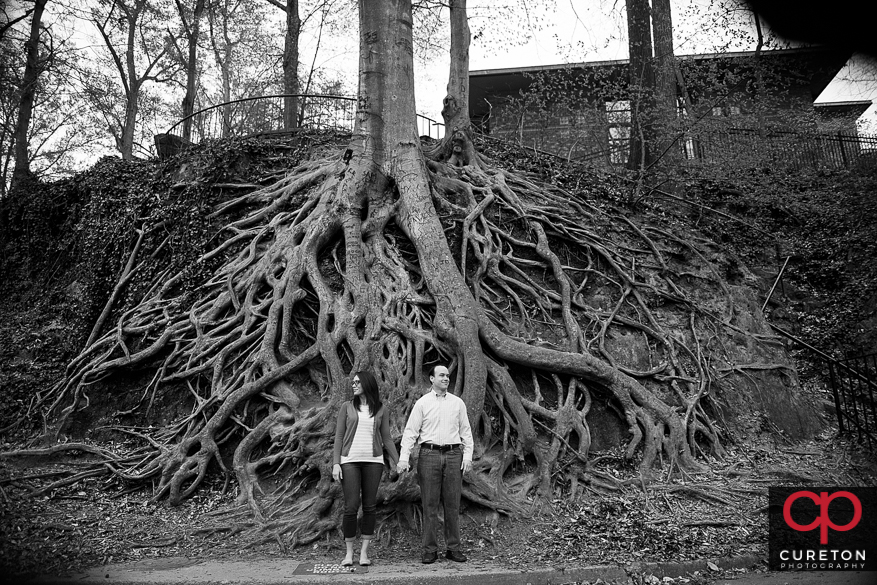 Engagement photo in front of the roots tree in Falls Park.