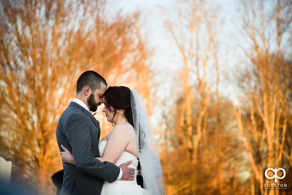 Bride and groom standing in front of trees glowing in warm sunlight.