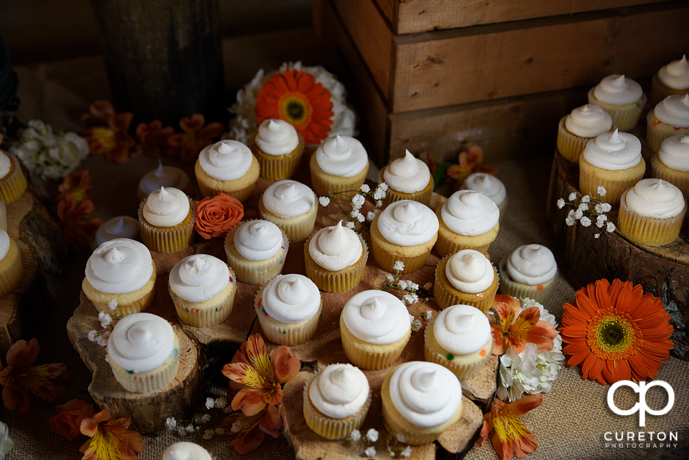 Beautiful cupcakes by Holly's cakes.