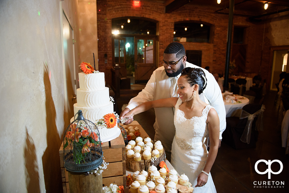 Bride and groom cutting the cake.