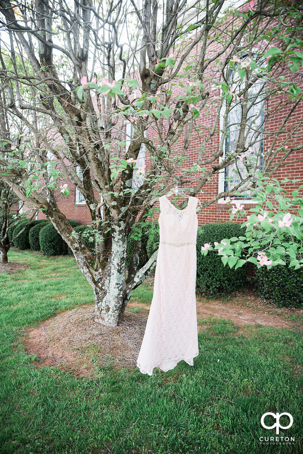 blue-ridge-rustic-wedding-018