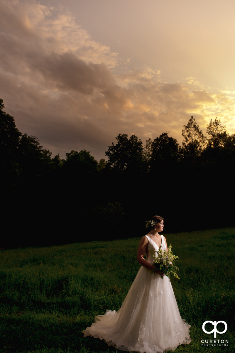 Bride looking into the distance at her sunset bridal session in Greer,SC.