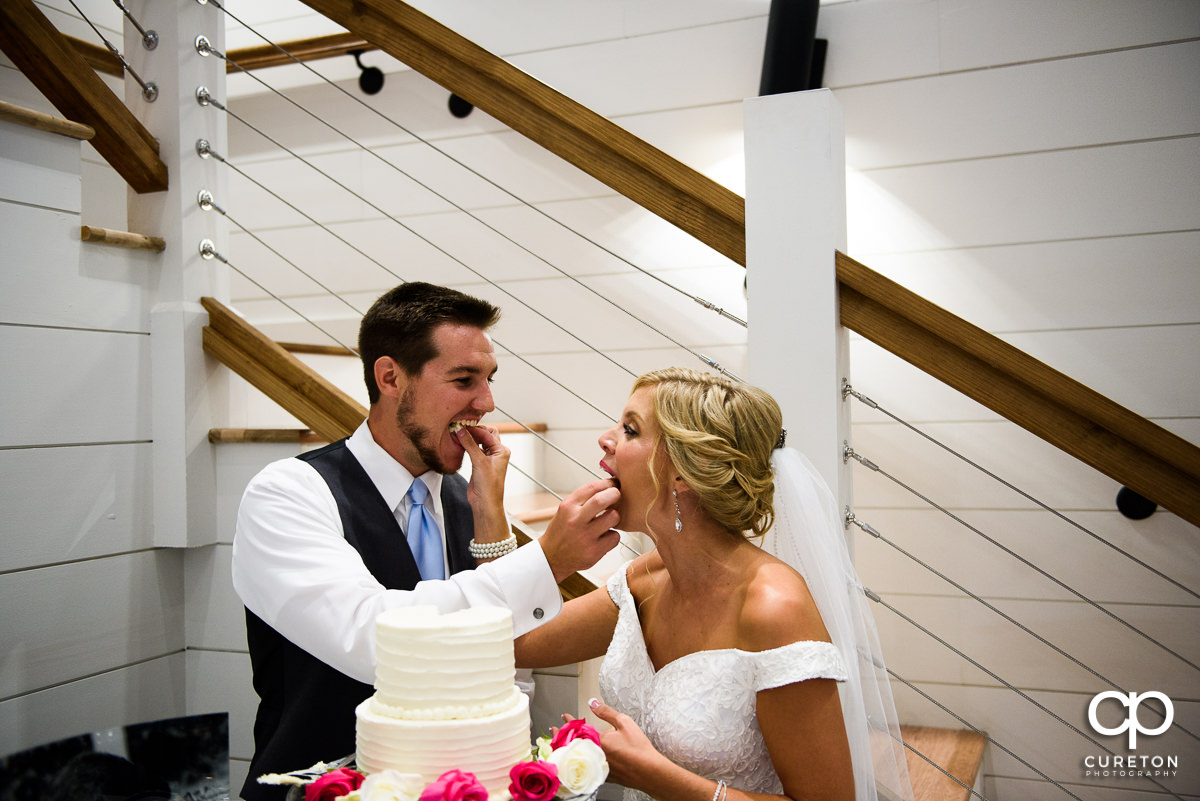 Bride and groom cutting the cake.