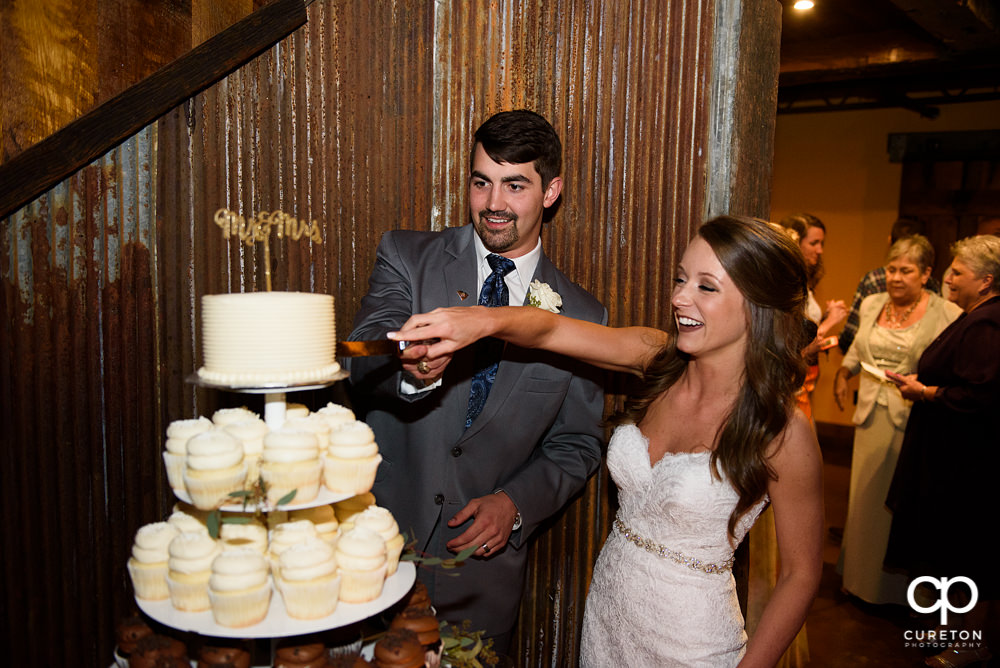 Bride and groom cutting the cake.
