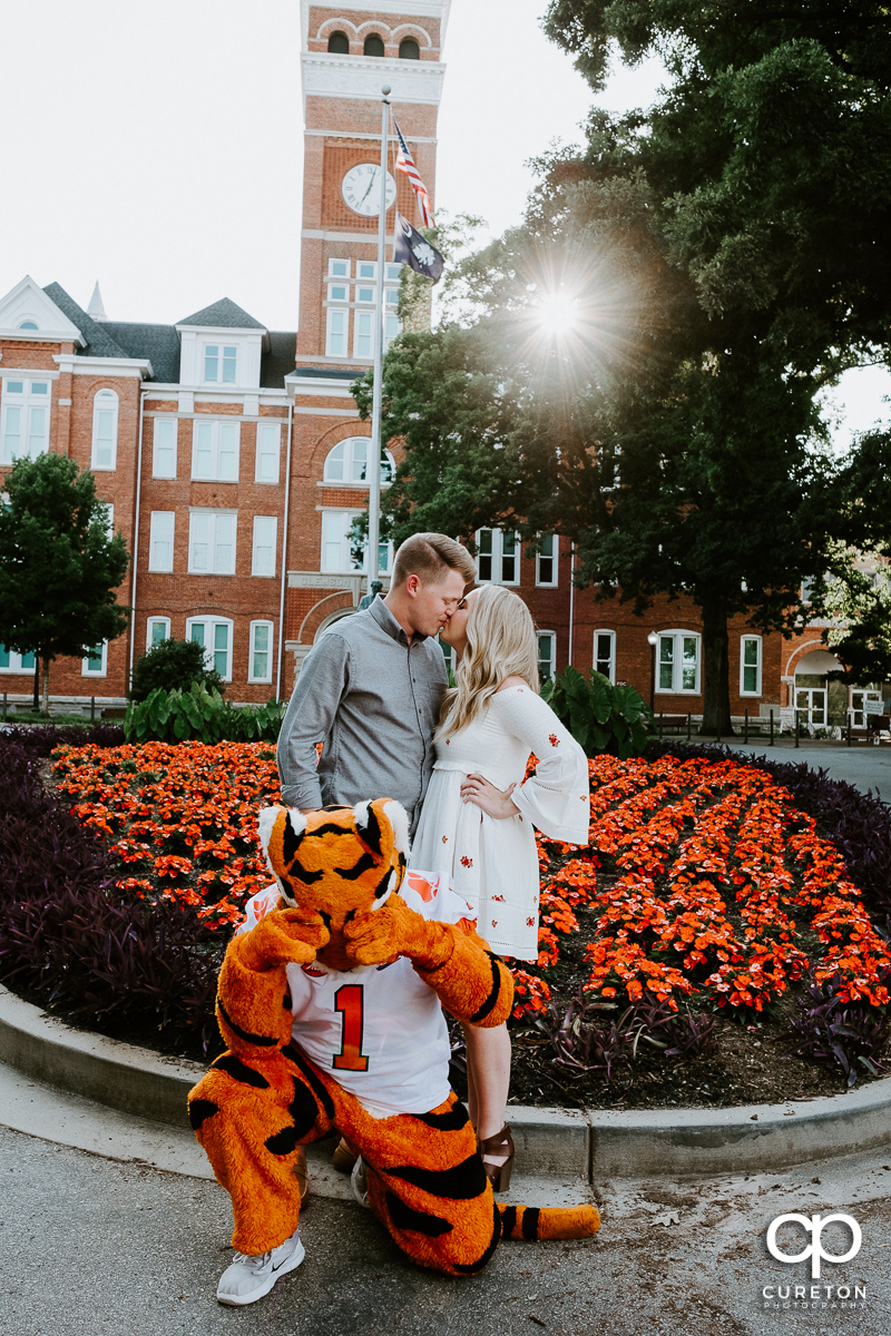 Engaged couple kissing as the Clemson Tiger mascot covers his eyes during their engagement session on the Clemson campus.