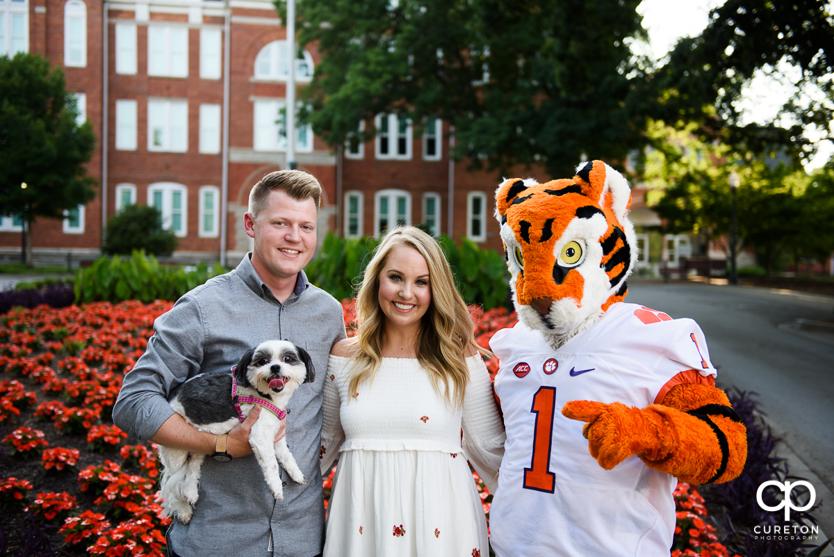 Engaged couple posing with their dog and the Clemson Tiger.
