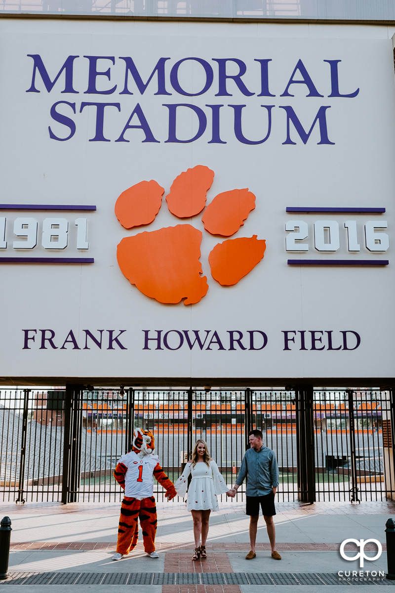 Engaged couple holding hands with the Clemson Tiger in front of Memorial Stadium at the hill.