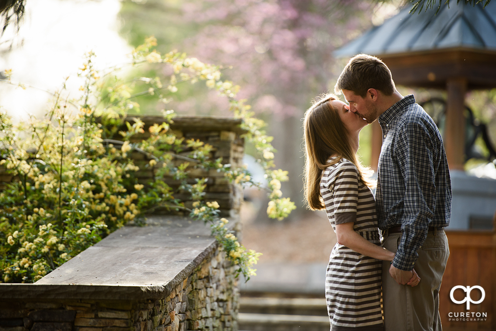 Engaged couple kissing during a Clemson Botanical Gardens engagement session.