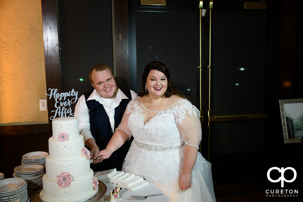 Bride and groom cutting the cake.