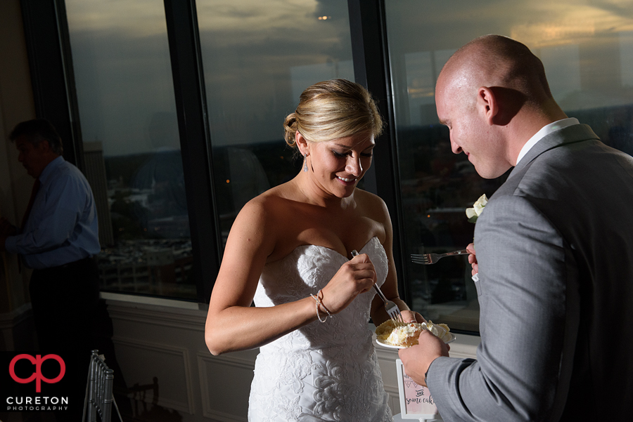 Bride and groom cutting the cake.