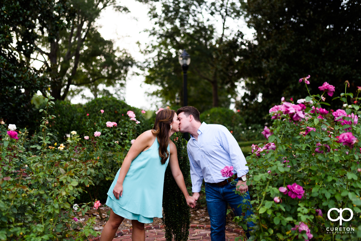 Engaged couple kissing in the rose garden at Furman during an engagement session.