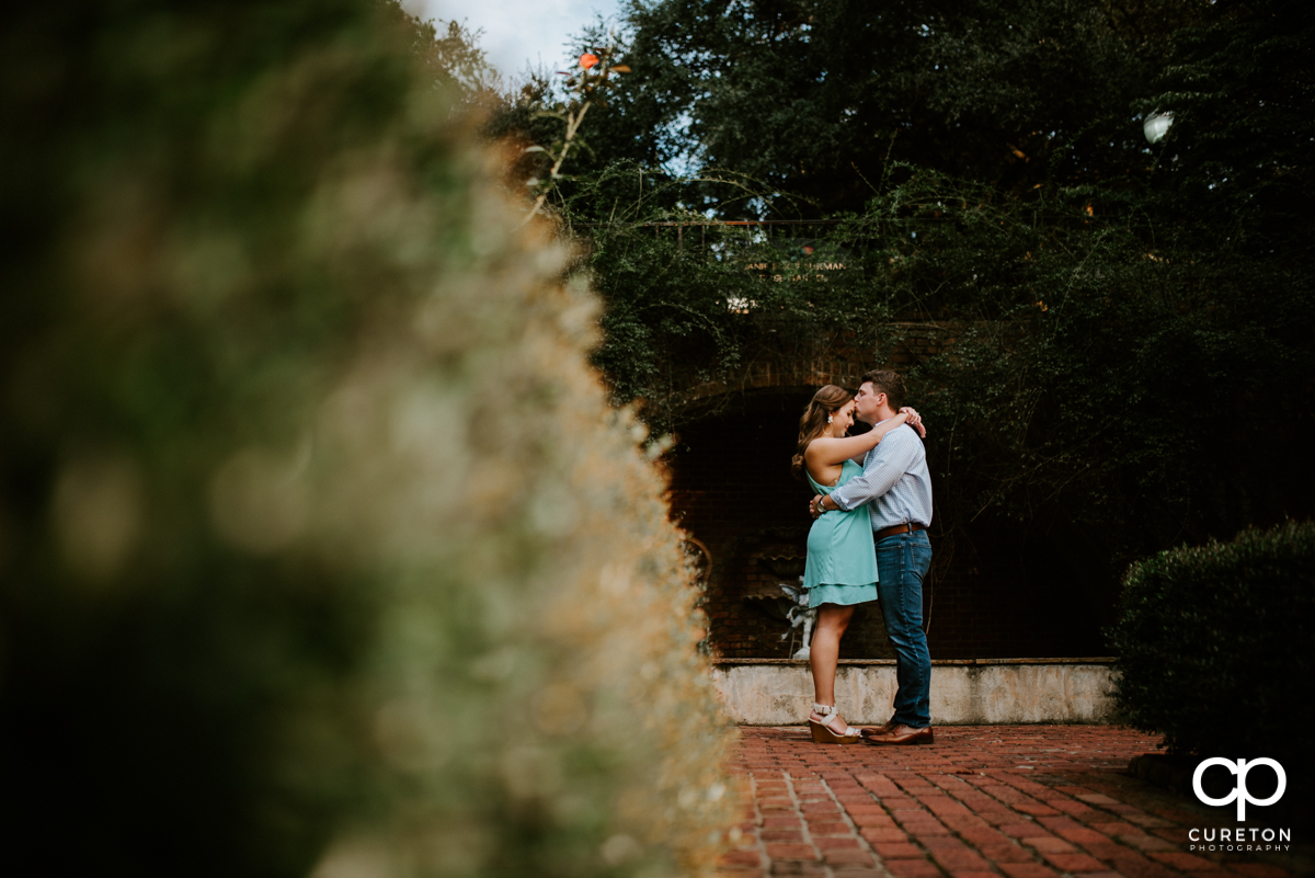 Couple kissing in the rose garden at Furman University in Greenville,SC.