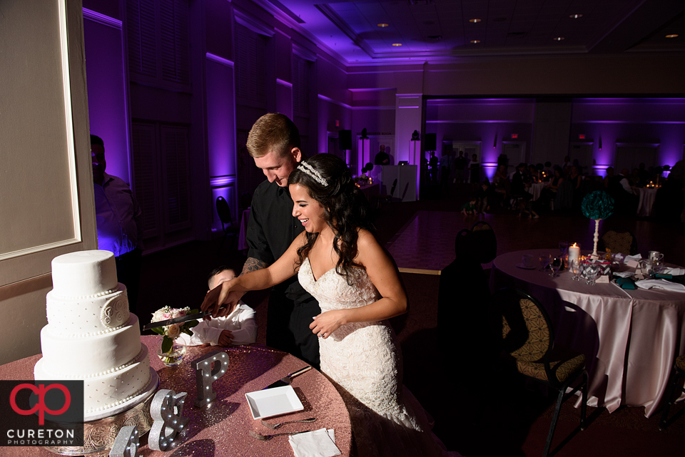 Bride and groom cutting the cake.