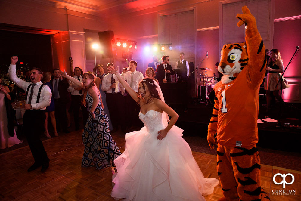 The Clemson tiger makes an appearance at the wedding reception.