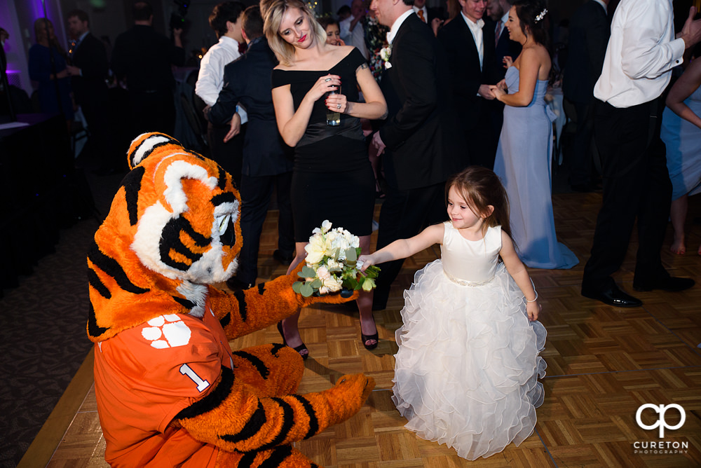 Flower girl and the Clemson Tiger.