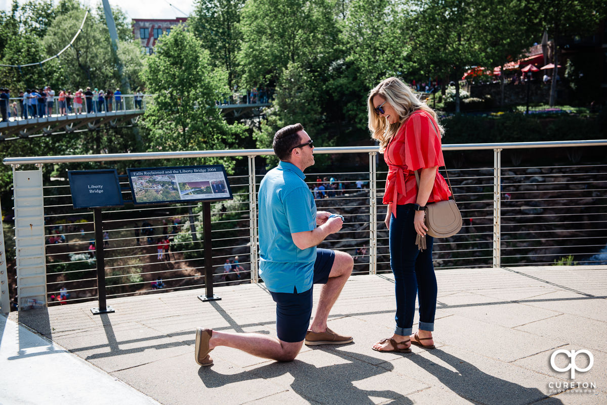 Man pulls out the ring during a surprise proposal in downtown Greenville ,SC.