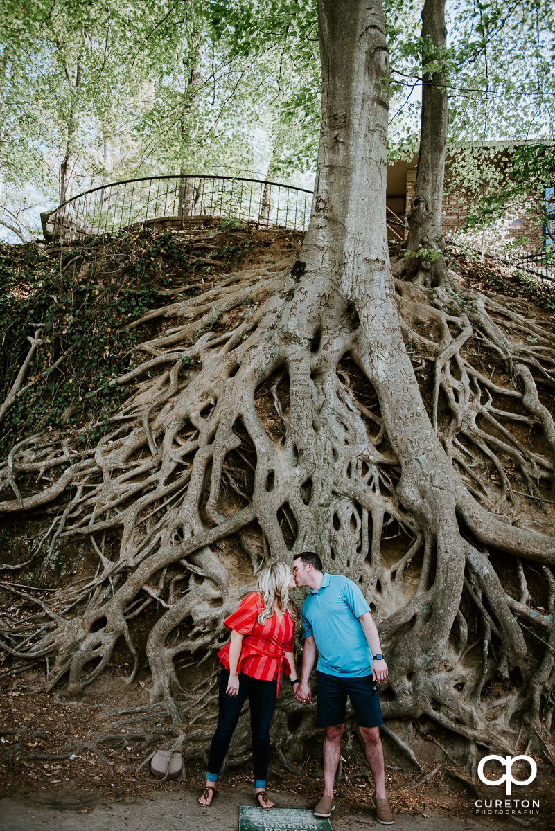 Newley engaged couple kissing underneath the roots tree in downtown Greenville ,SC.