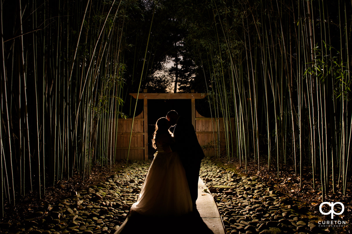 Bride and groom epic backlit photo in a field of bamboo at the Duncan Estate wedding reception in Spartanburg,SC.