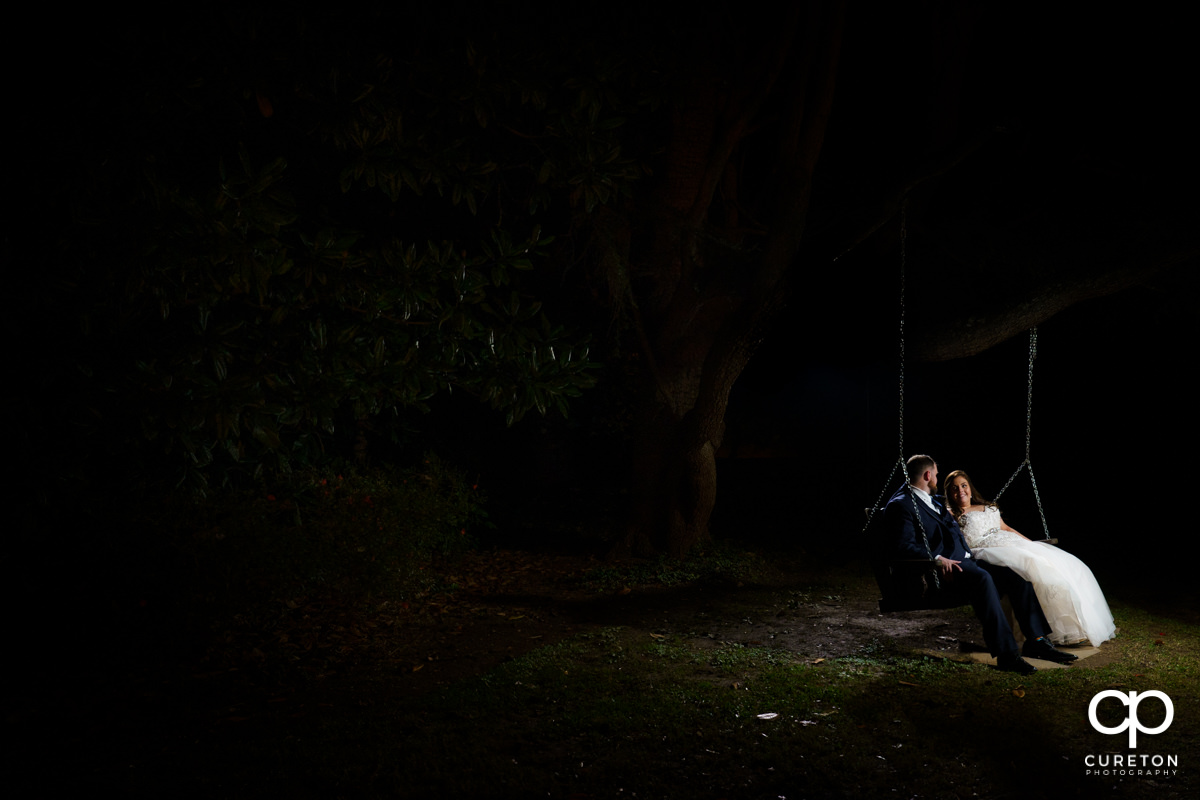 Bride and groom sitting in a tree swing.