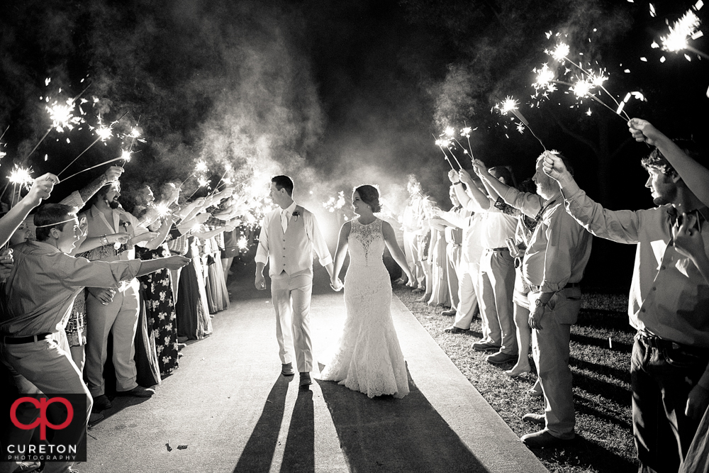 Sparkler leave.