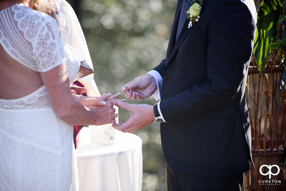 Elegant backyard wedding in the springtime in Greenville,SC.