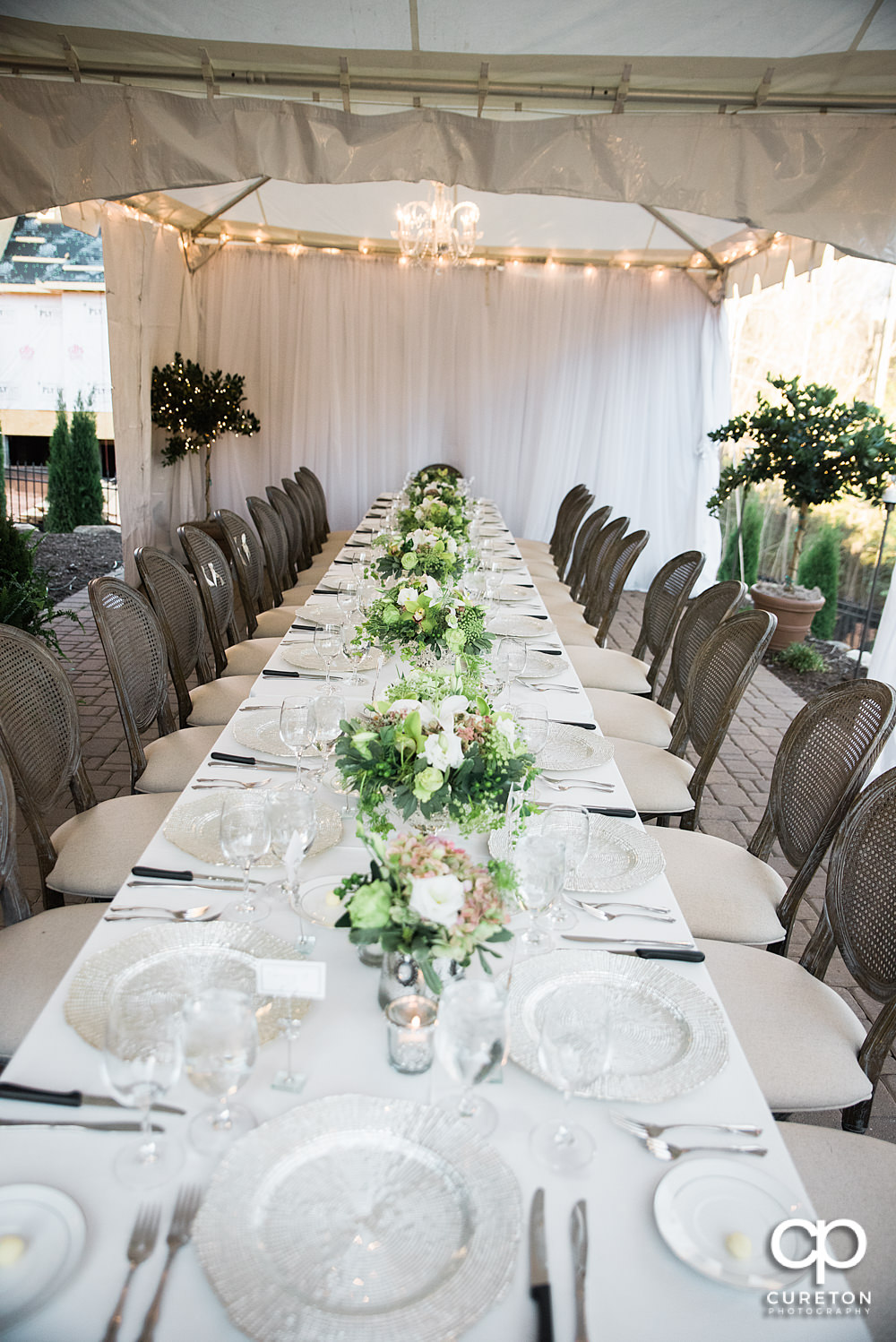 Elegant backyard wedding in the springtime in Greenville,SC.