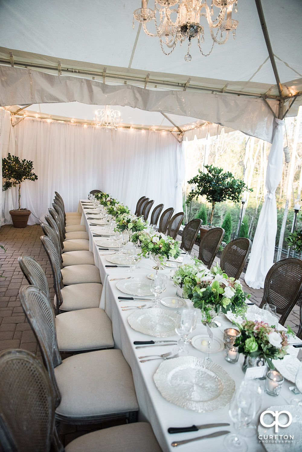 Elegant backyard wedding in the springtime in Greenville,SC.