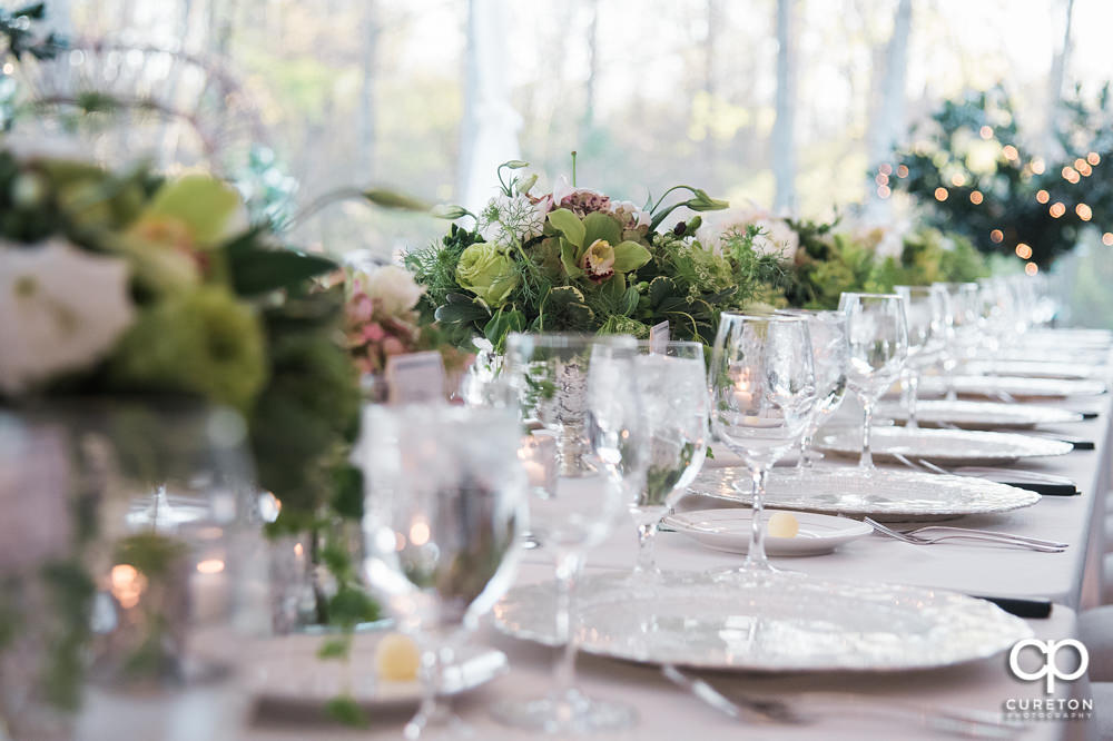 Elegant backyard wedding in the springtime in Greenville,SC.