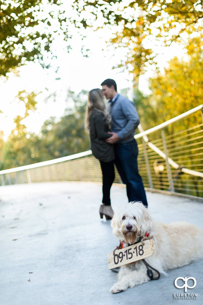 Couple kissing on LIberty Bridge in teh background with their dog wearing a wedding date sign.