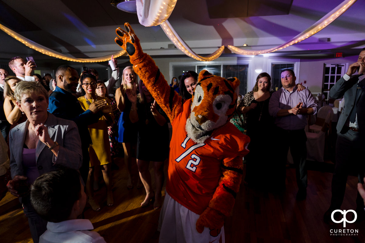 Clemson Tiger Cub dancing at a wedding reception at Holly Tree.