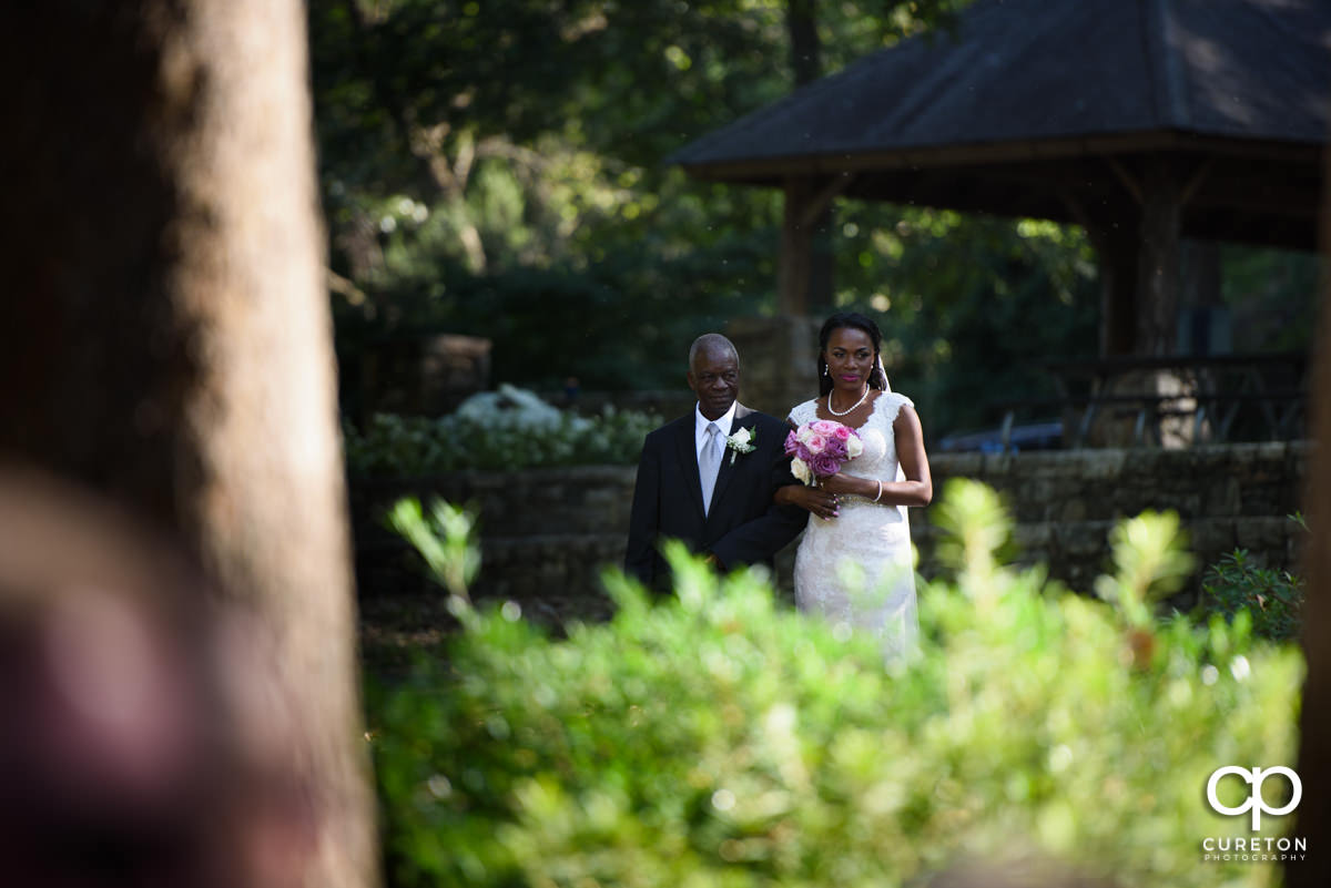 Bride walking down the aisle.