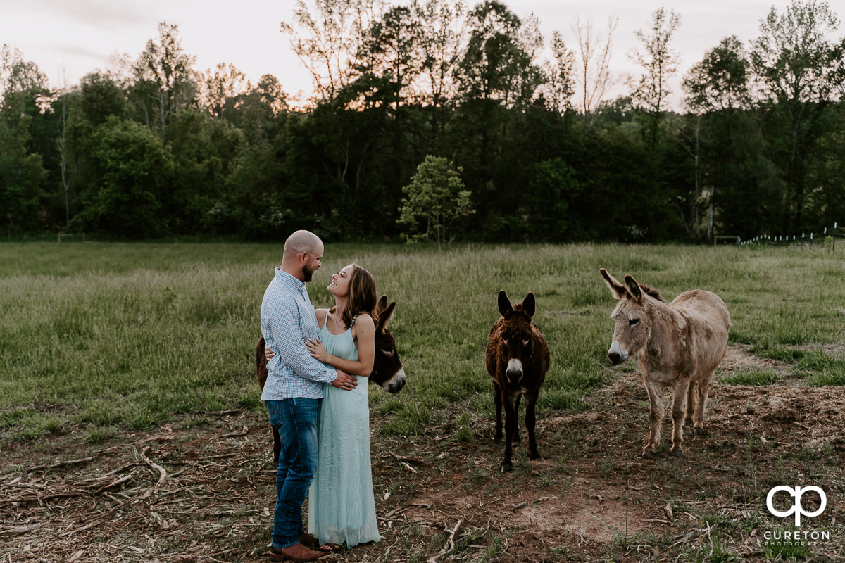 Engaged couple dancing in a field with donkeys during a family farm engagement session in Gray Court,SC.