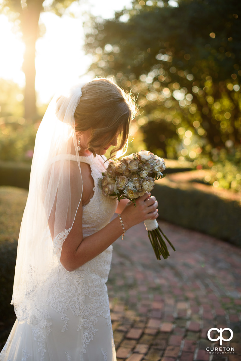 Bride smelling her flowers at golden hour in the rose garden.
