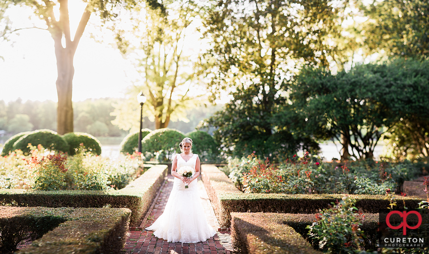Bride standing in the rose garden during her Furman University bridal session.